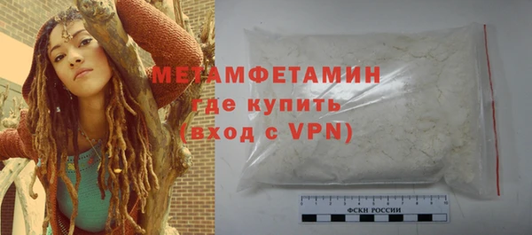 стафф Гусев