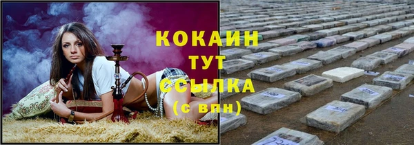 стафф Гусев