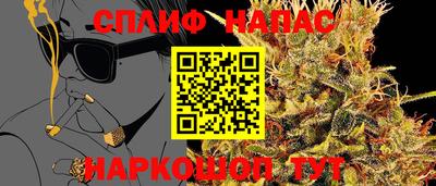 гидра Заволжье