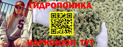 метадон Жуковский