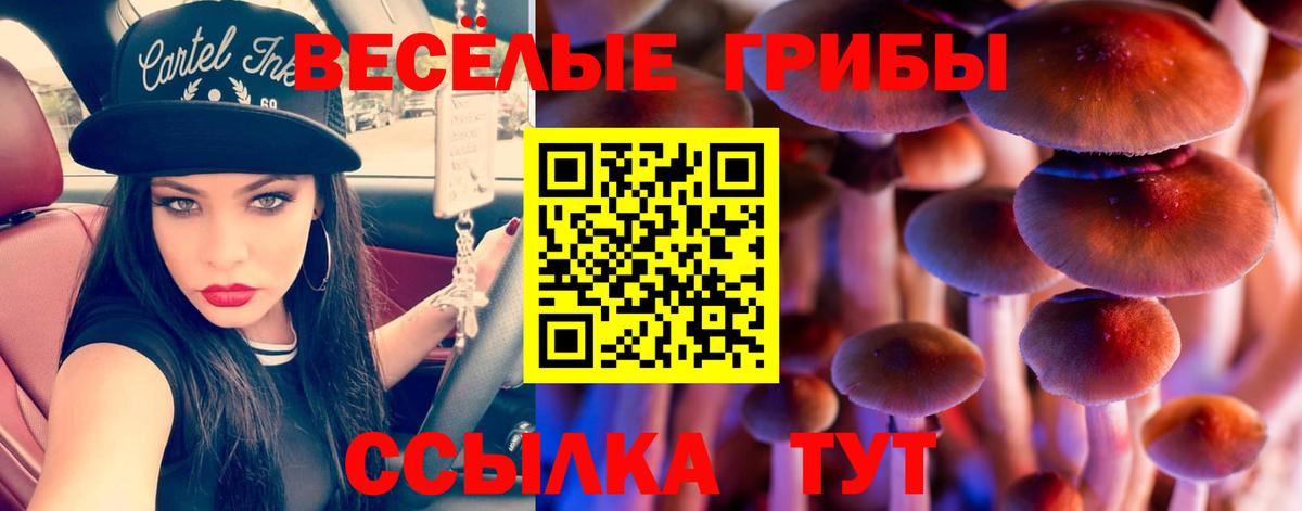 Псилоцибиновые грибы мицелий Обь